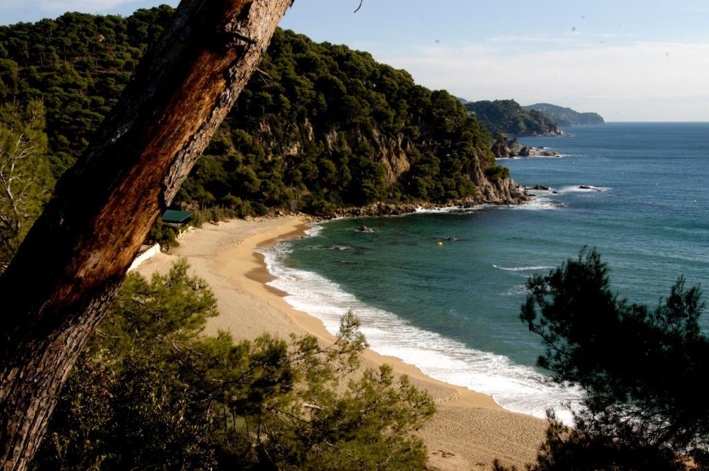 Apartments Lloret Sun 滨海略雷特 外观 照片